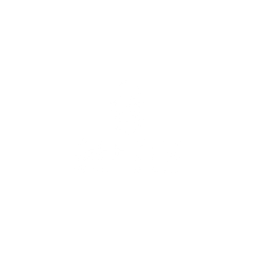 Geezer Collection N